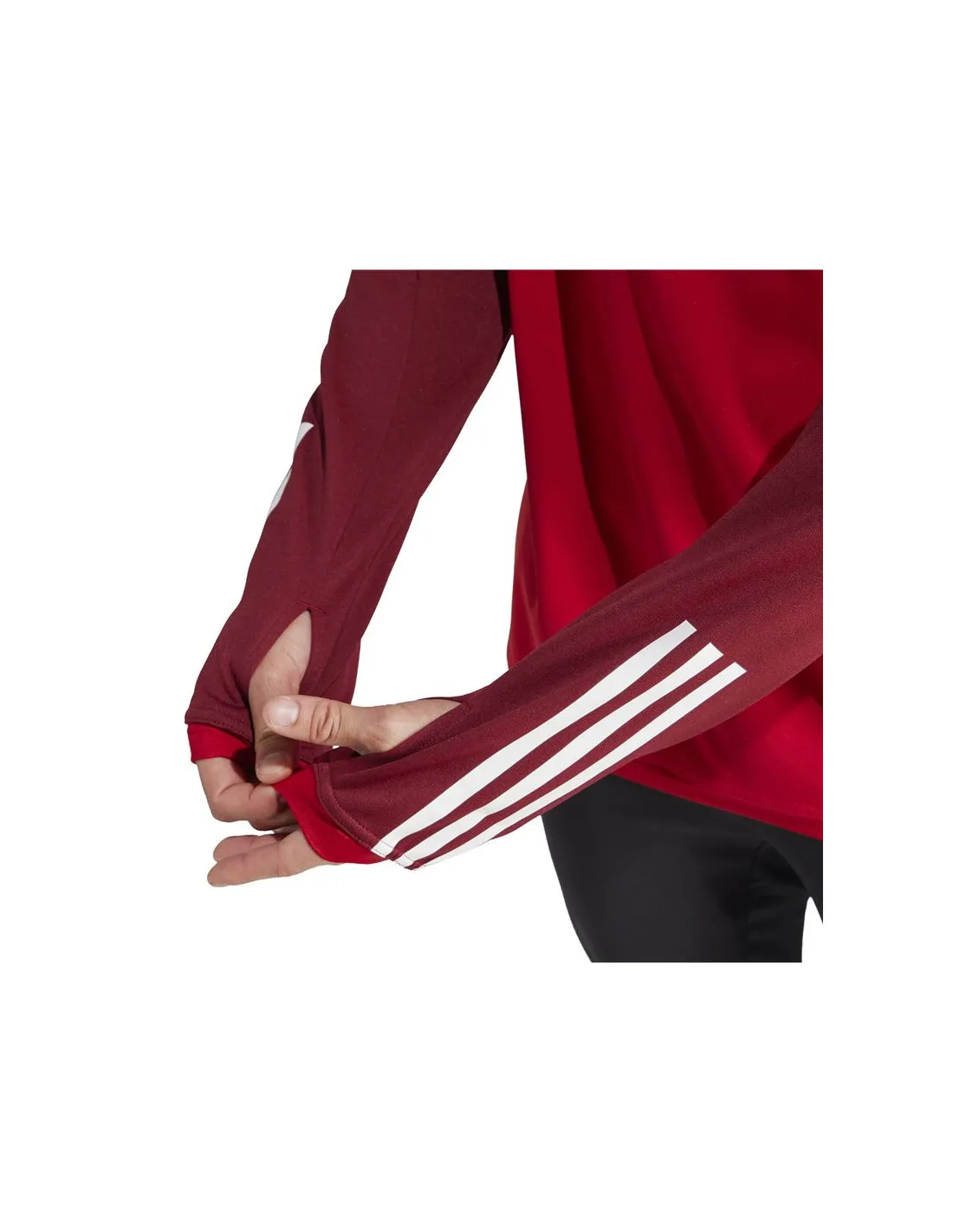 Chaqueta de Fútbol adidas Benfica Trainning Hombre