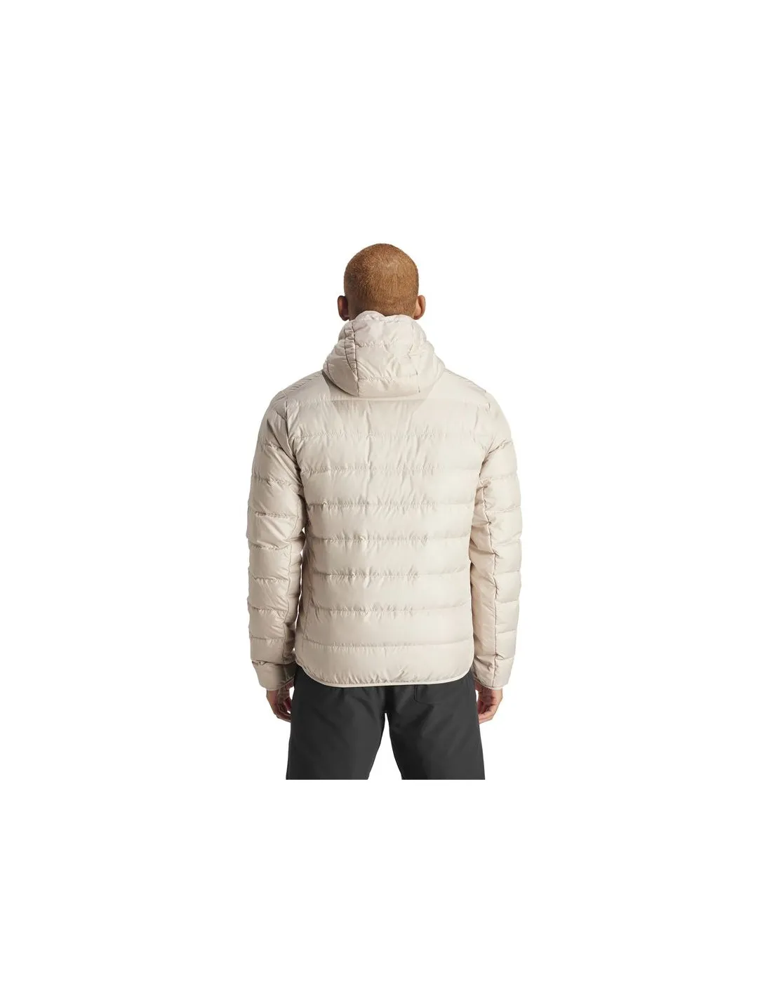 Chaqueta de Senderismo adidas Multi Down Hombre Beige
