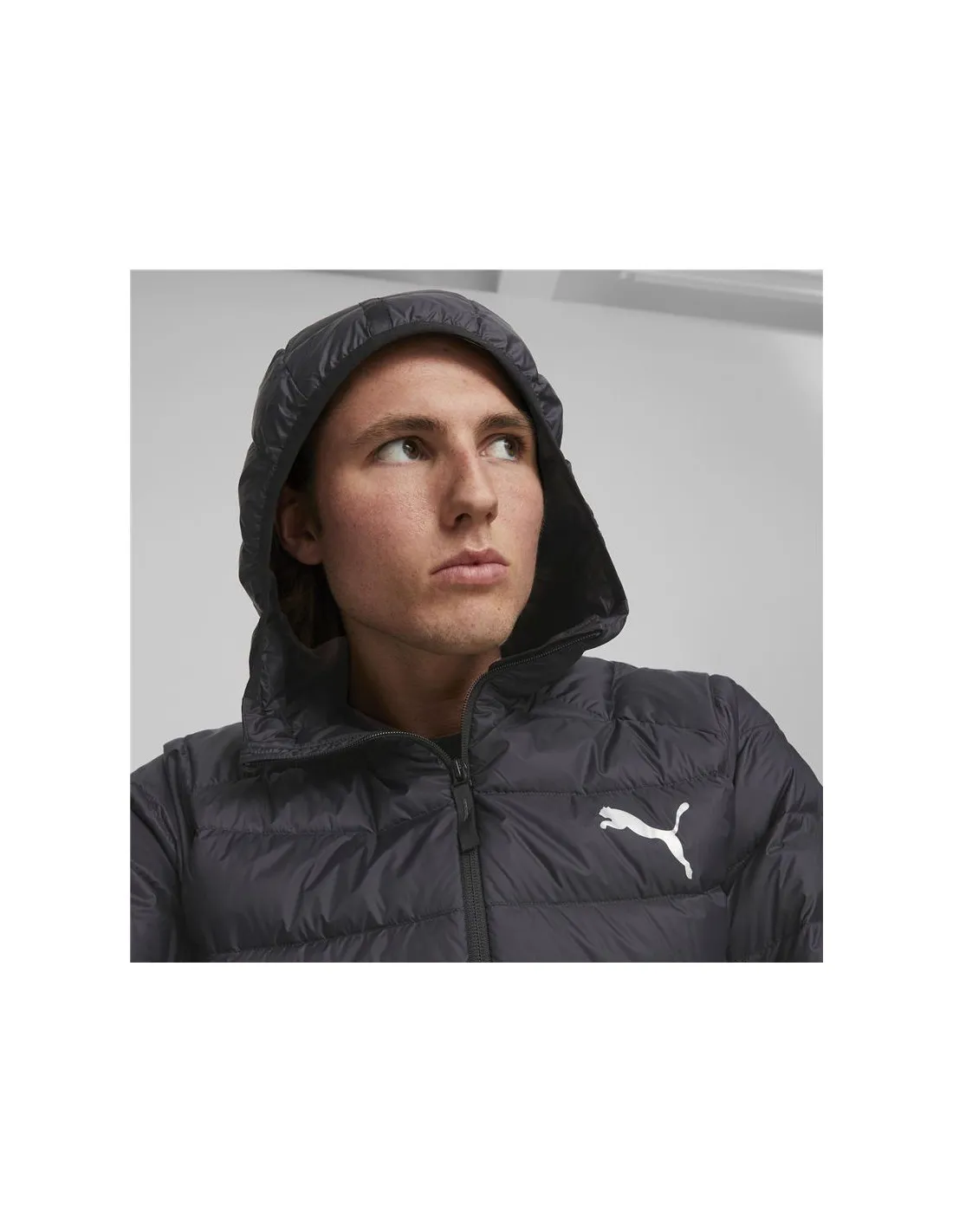 Chaqueta Puma Packliteoded Down Hombre