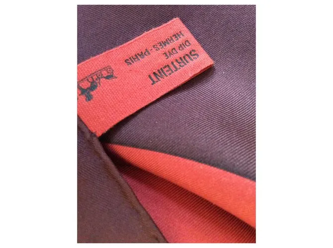 Hermès Surteint cuadrado de seda Multicolor 
