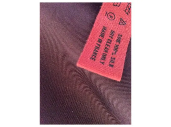Hermès Surteint cuadrado de seda Multicolor 