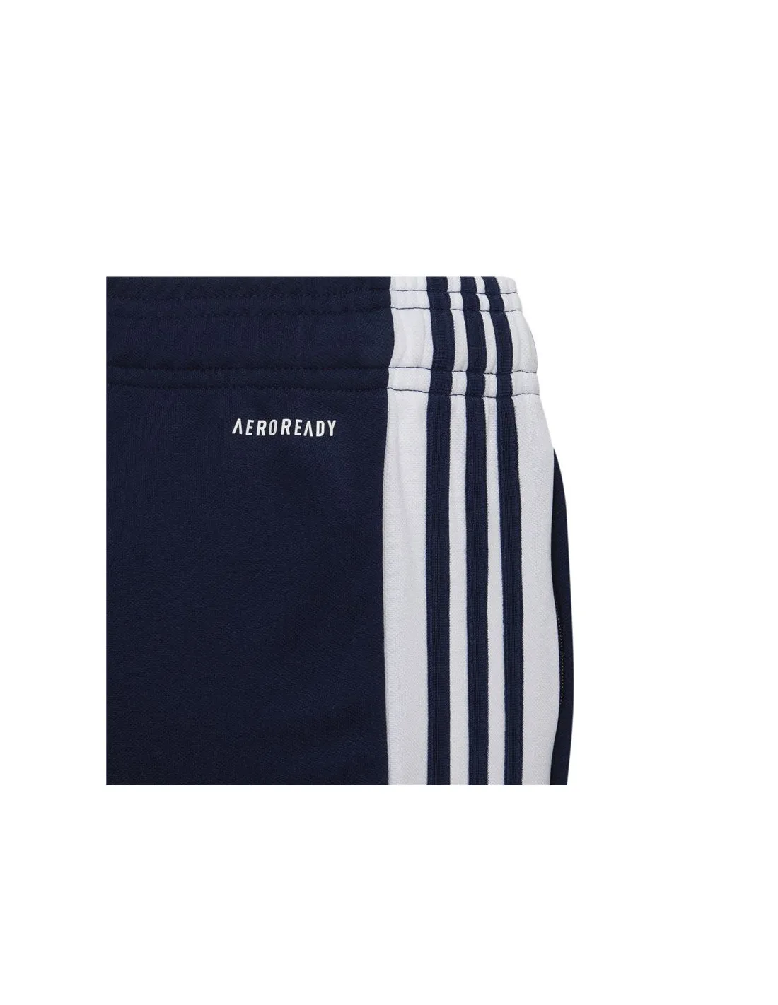 Pantalones de fútbol adidas Squadra 21 Kids Blue