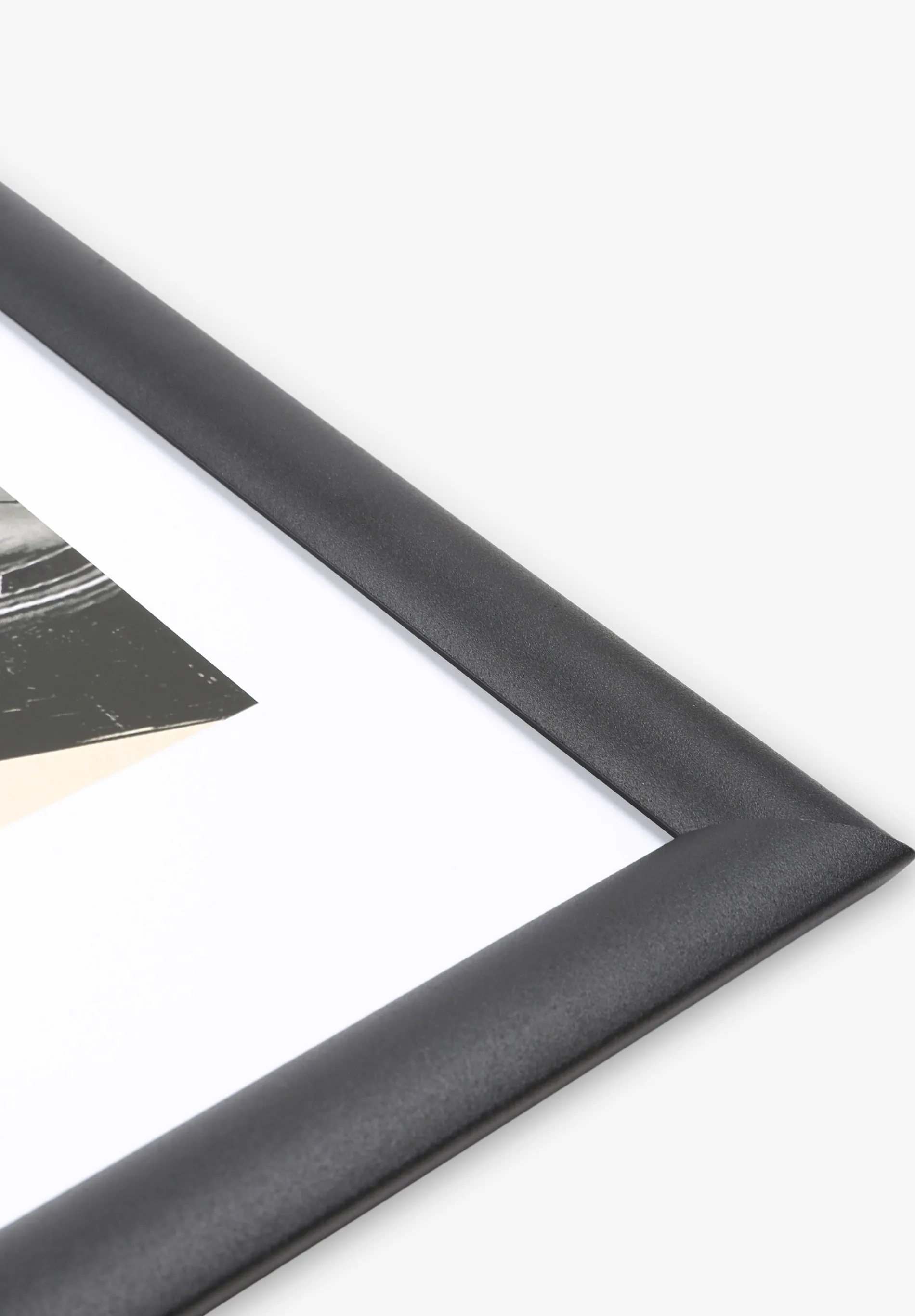 THE RACE FRAME